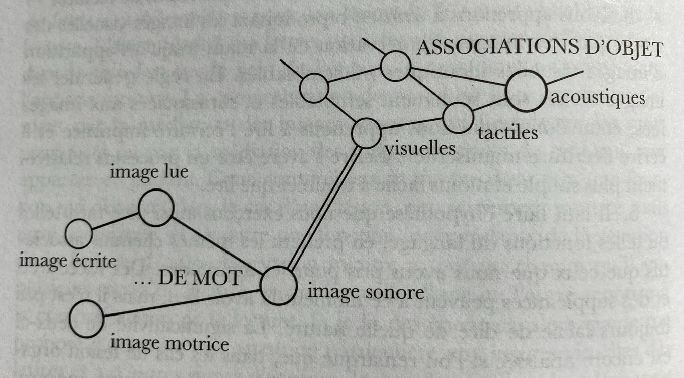 Association de mot.jpg